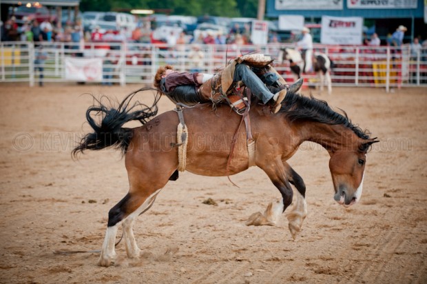 Ben Vaughn, 26, tries to hang on during saddle bronc riding at the Shady Dale Rodeo.